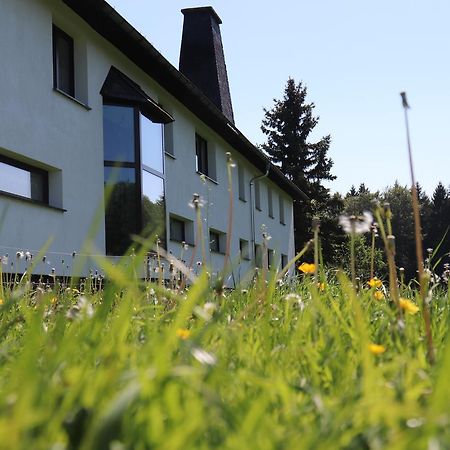Pension Hubertushof Monteurunterkunft Freiberg Esterno foto